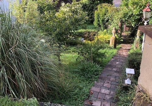 Treppenanlage und Garten