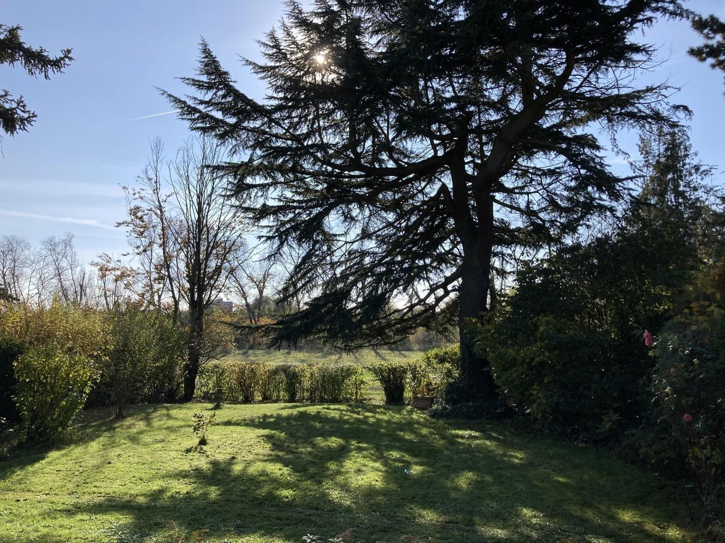 Garten zum Main