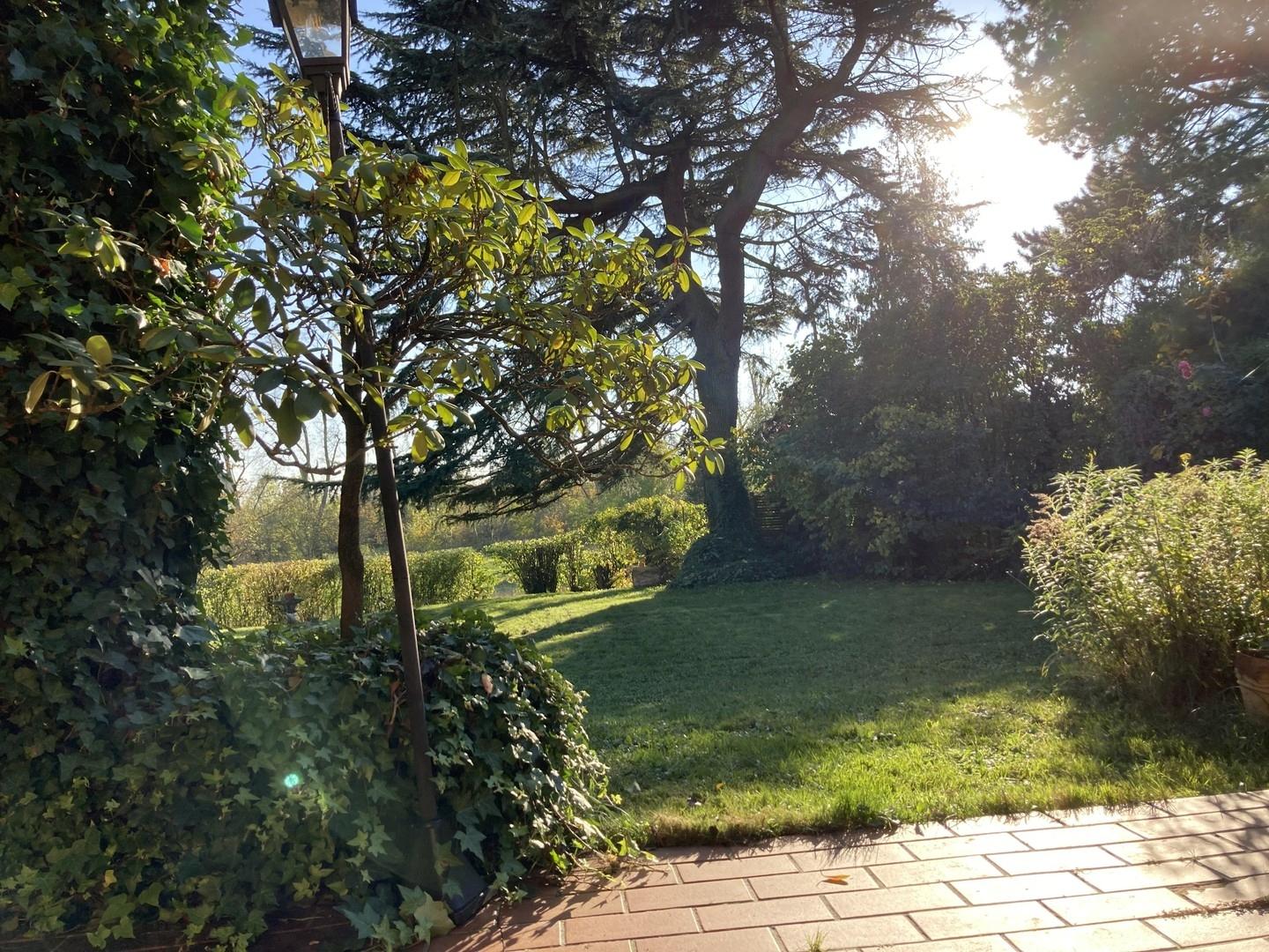 Garten zum Main