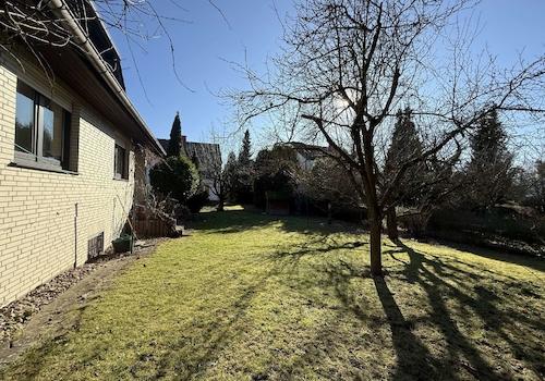 Sonniger Gartenbereich