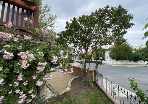 Terrasse1