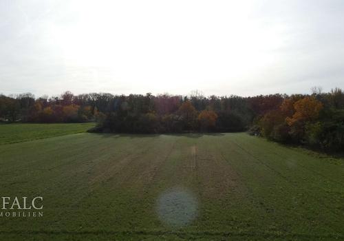 Blick über das Feld