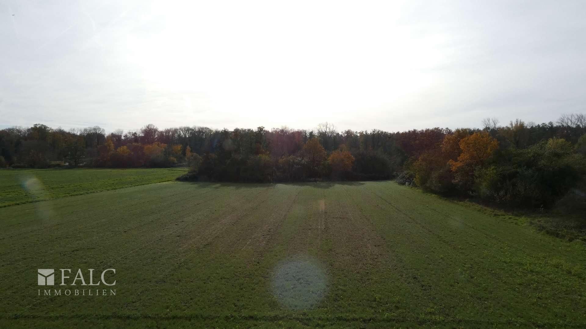 Blick über das Feld