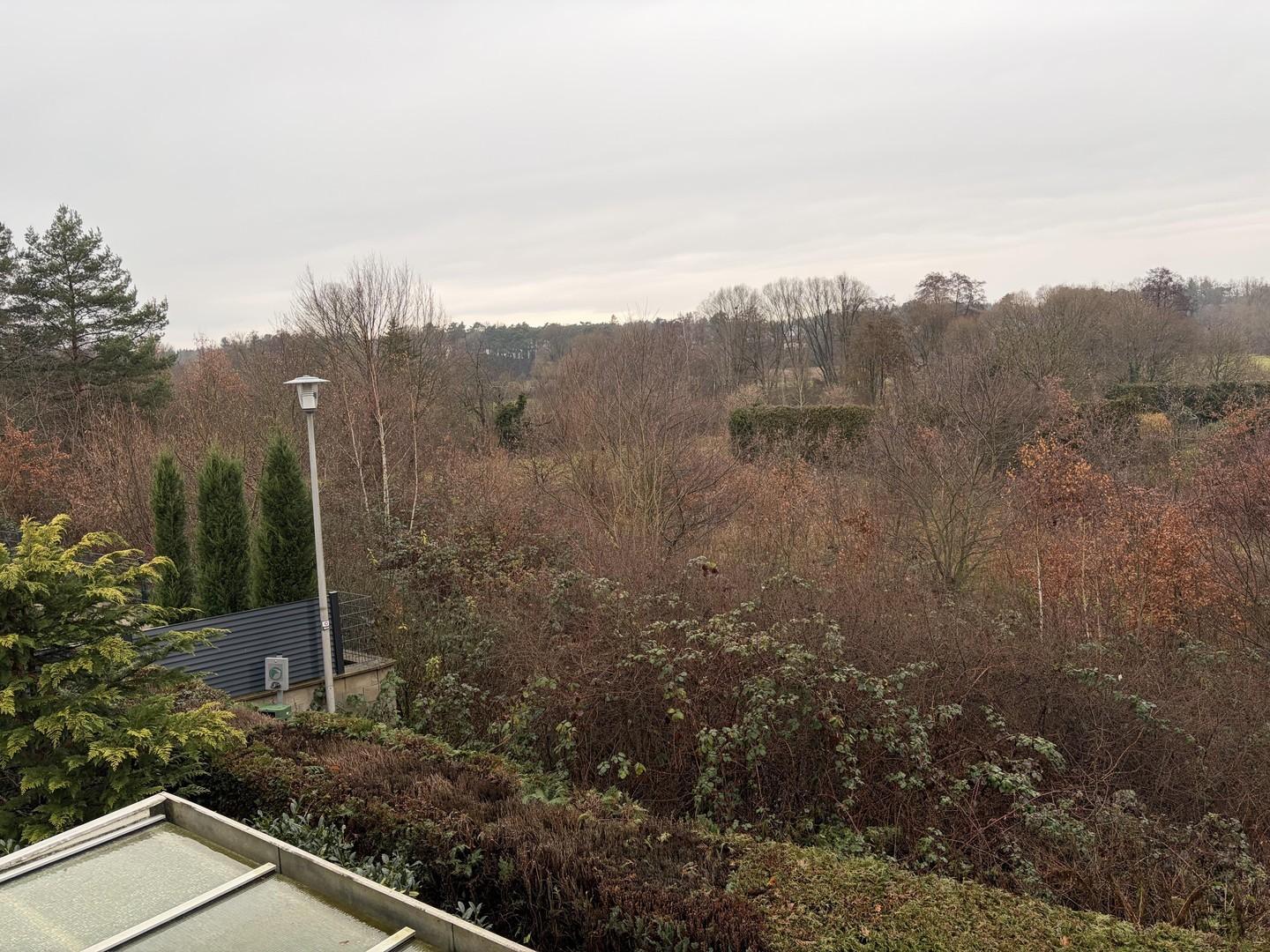 Blick nach Nord-West Ackerland