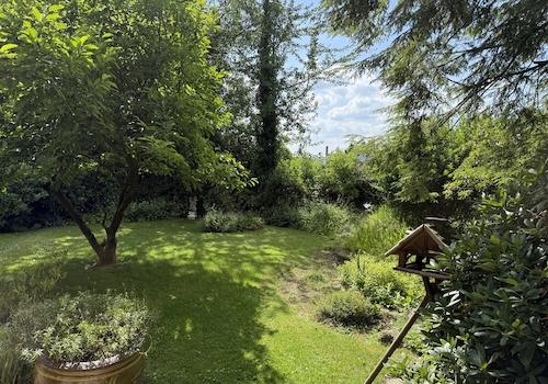 Garten in Richtung Westen