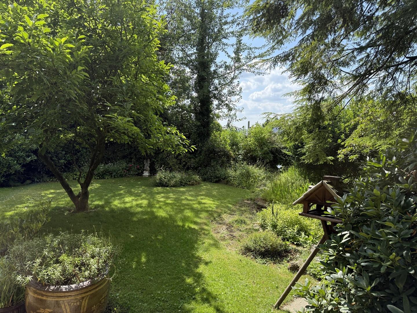Garten in Richtung Westen