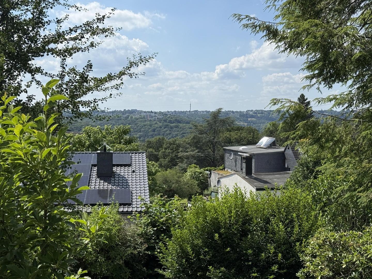 Blick v. Balkon OG nach Westen