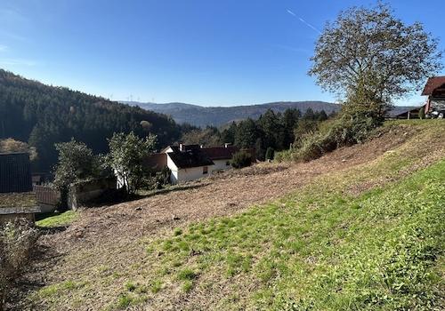 Blick auf das Grundstück