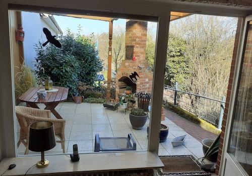 Blick Richtung Garten 