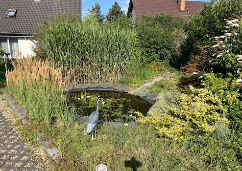 Mein neues Zuhause- Wohnhaus mit Einliegerwohung in ruhiger Wohnlage! – Cottbus, de – Vorschaubild 6