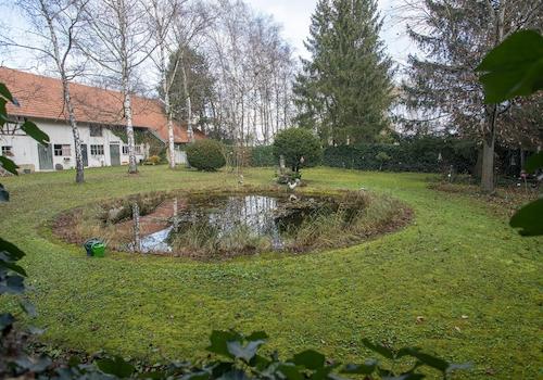 Seerosenteich, Garten, Scheuer