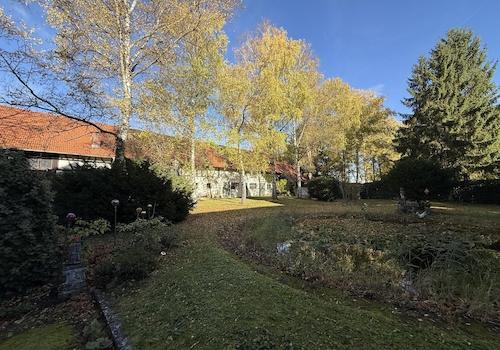 Seerosenteich, Birkenallee