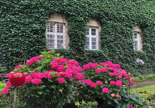 Wohnzimmerfenster zum Teich