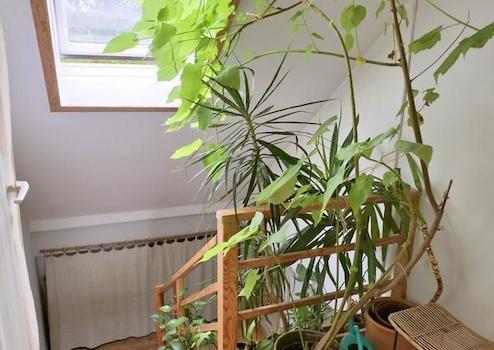 Property thumbnail 8