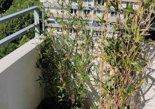 Ausblick nach Südwesten