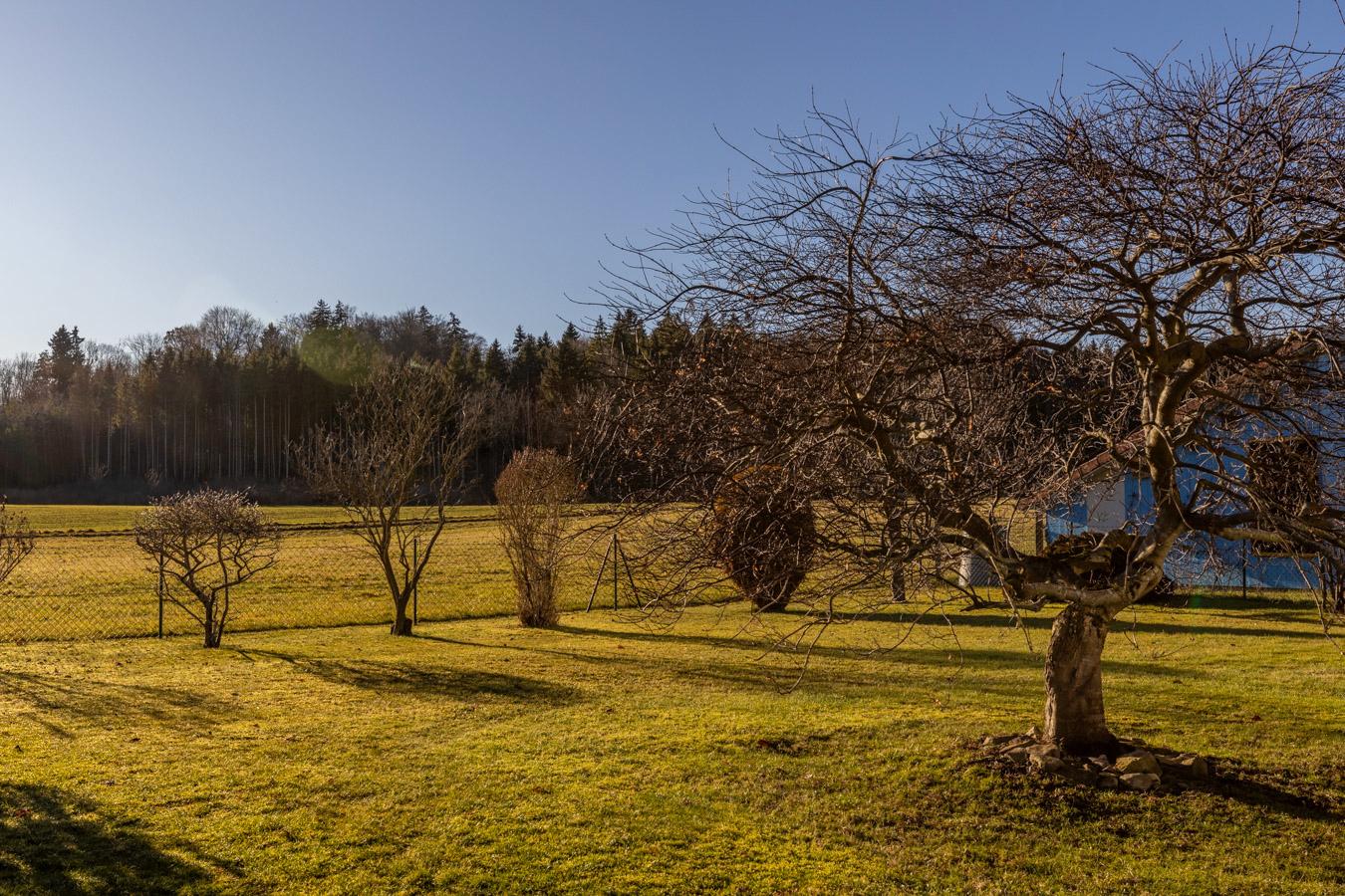 5F9A7530-HDR