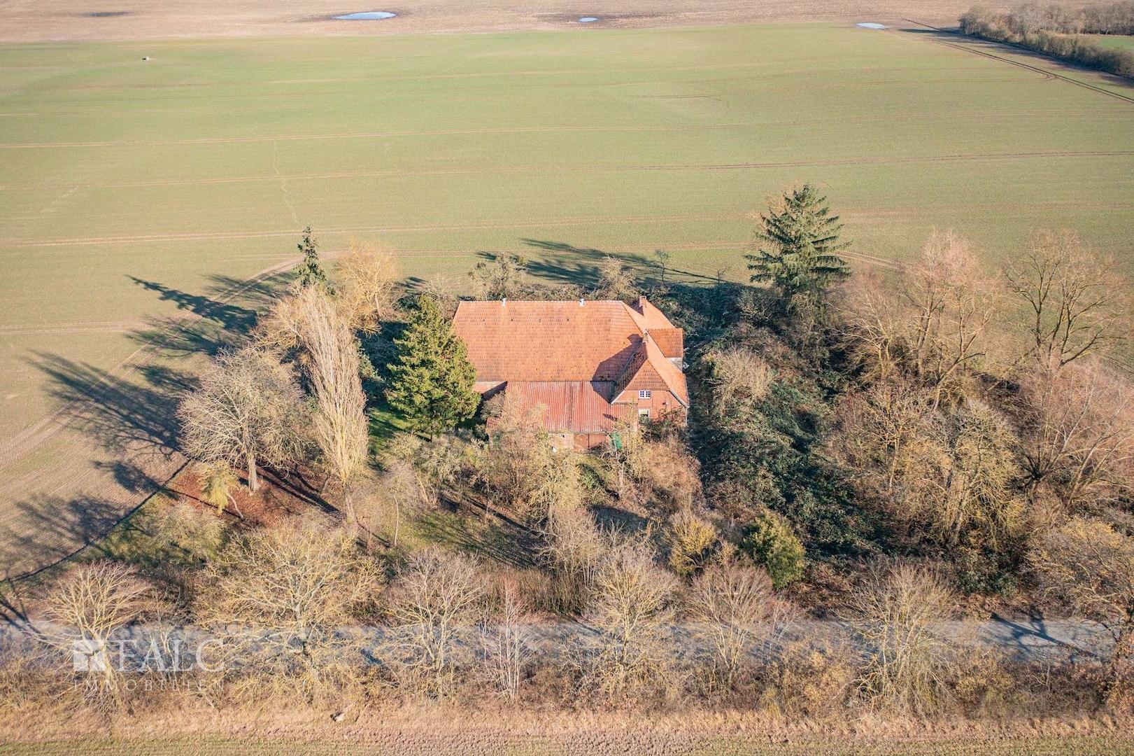 Außenansicht XII