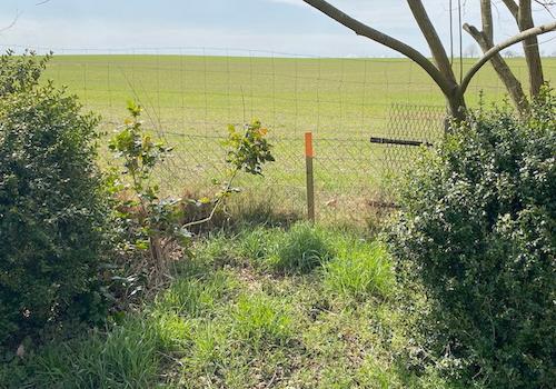 4. Begrenzungsmarkierung mit freiem Feldblick