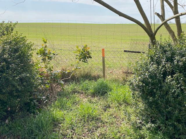 4. Begrenzungsmarkierung mit freiem Feldblick