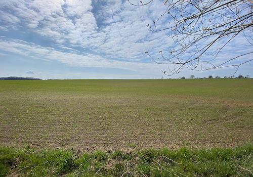 Unverbaubarer Feldblick im Süden