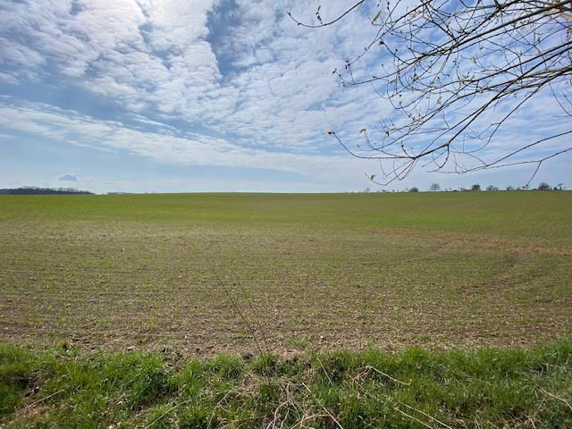 Unverbaubarer Feldblick im Süden
