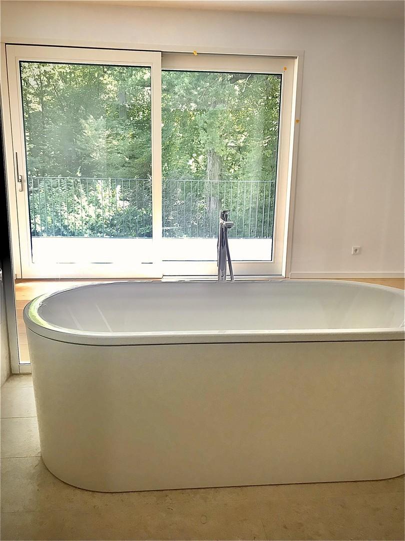 Ausblick in den Wald