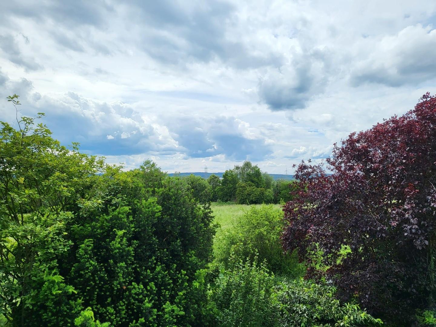 Blick vom Balkon