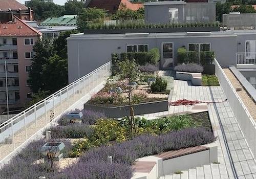 allgemeiner Dachgarten 
