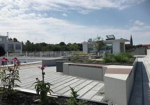 allgemeiner Dachgarten