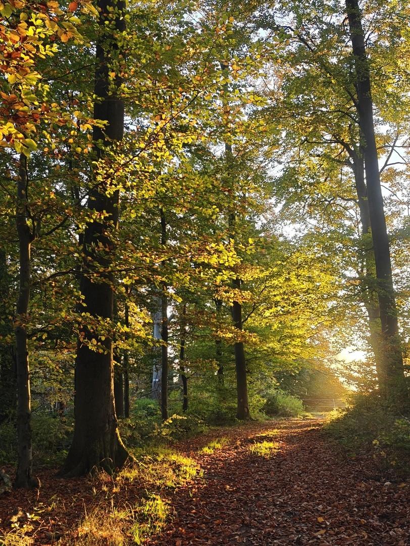 Fußläufig zum Naturpark