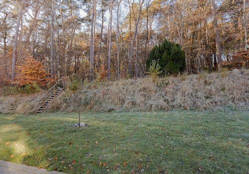 Gartenfläche hinter dem Haus