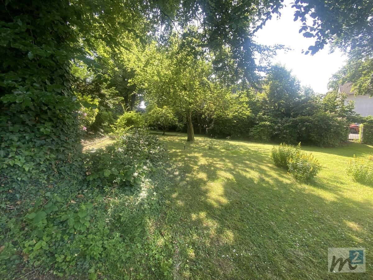 Garten 1