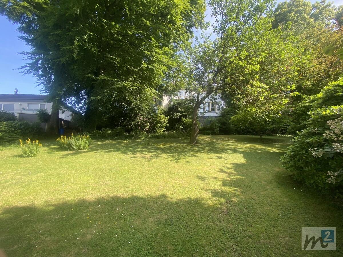 Garten 2