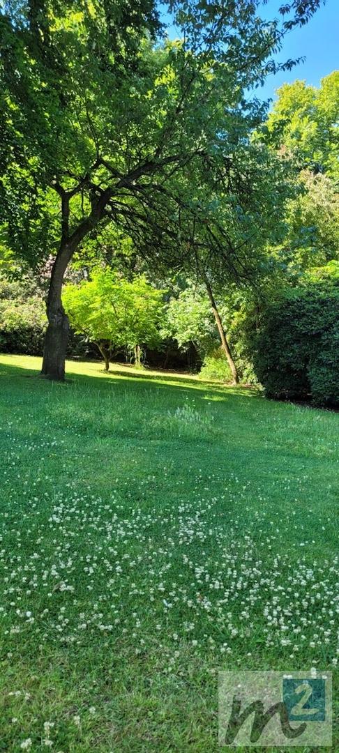 Gartenansicht2