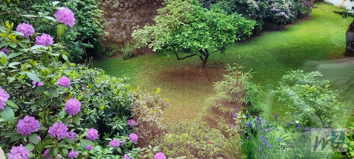 Gartenansicht3