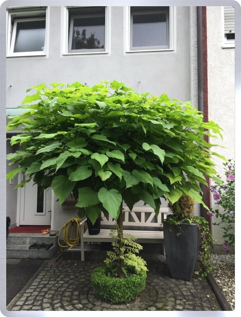 moderner Hauseingang
