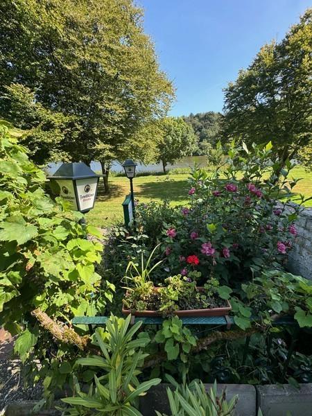 18 DG Garten und Sicht zur Mosel