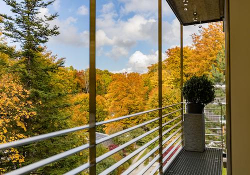 Mein Baumwipfelzimmer.