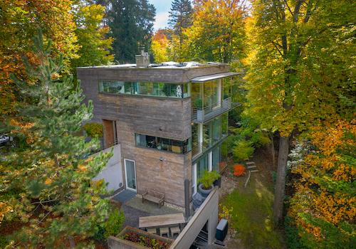 Mein Zuhause in den Baumwipfeln.