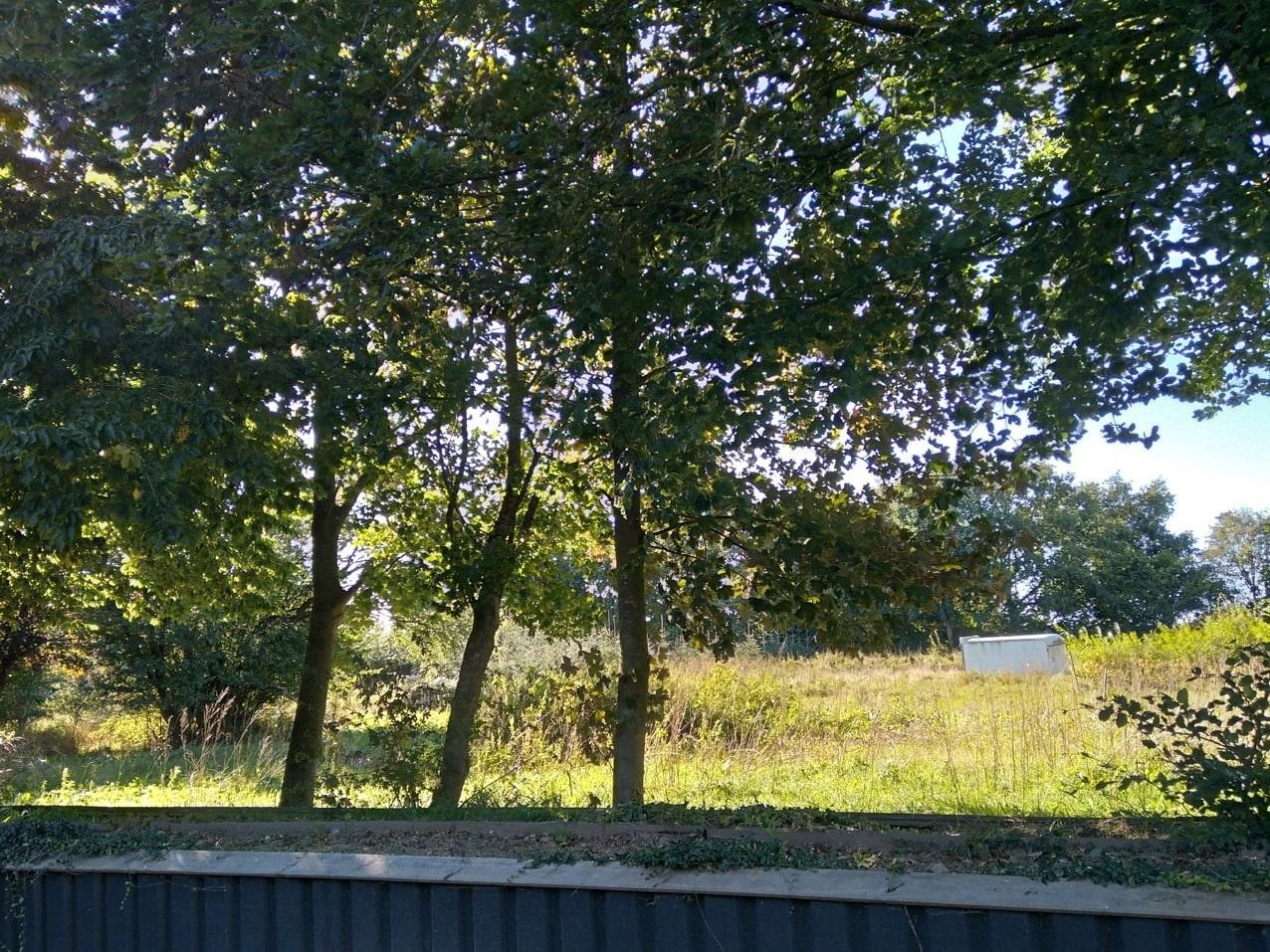 Blick über den Gartenzaun