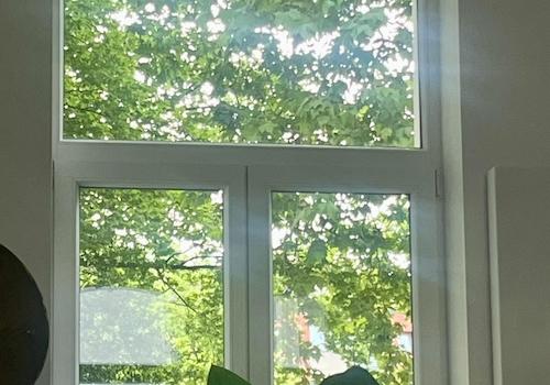 Blick aus dem Wohnbereich 