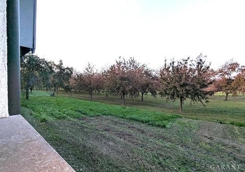 PXL 20251018 162404920