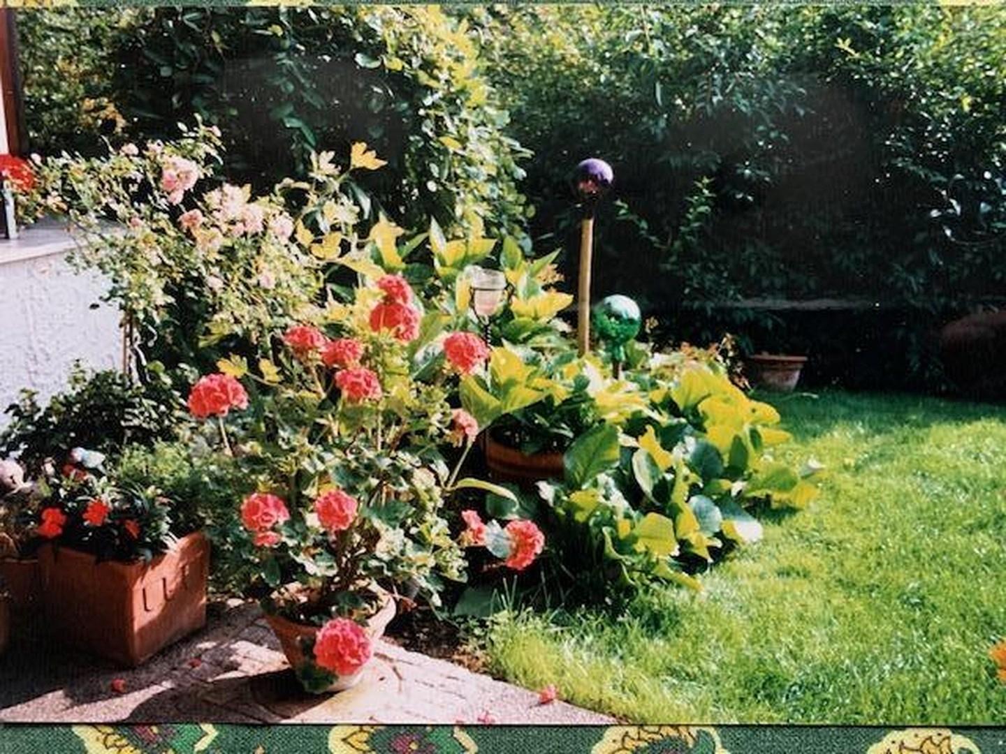 Gartenblick hinterer Eingang