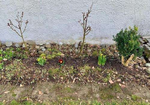 Frühlingsimpressionen