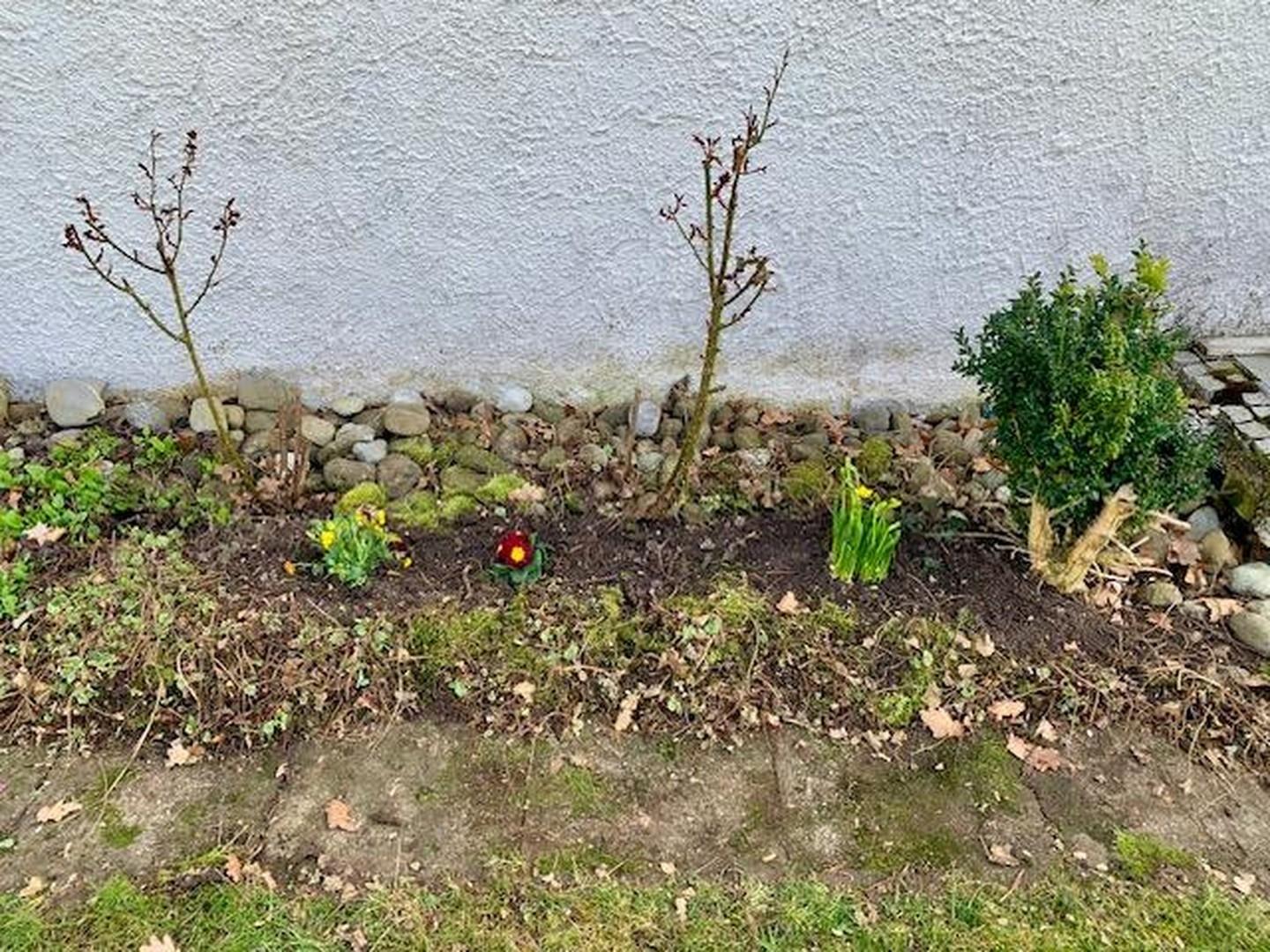 Frühlingsimpressionen