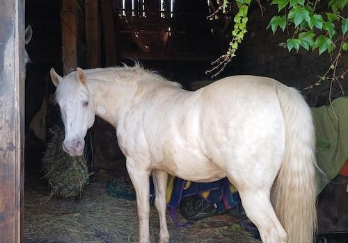 signal-2025-07-29-16-31-52-467