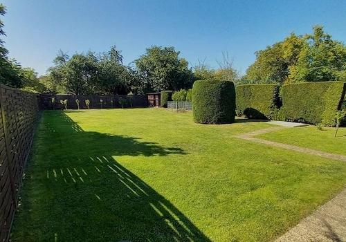 Garten / evtl. Baufeld