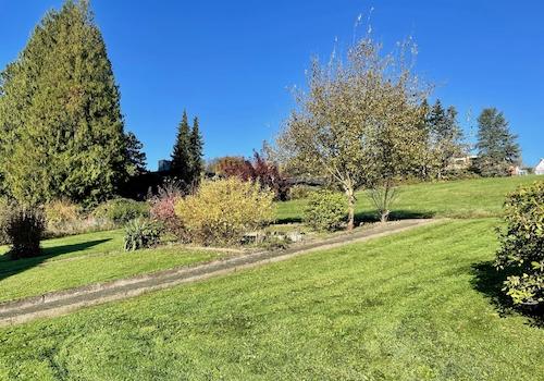 sonniges Grundstück