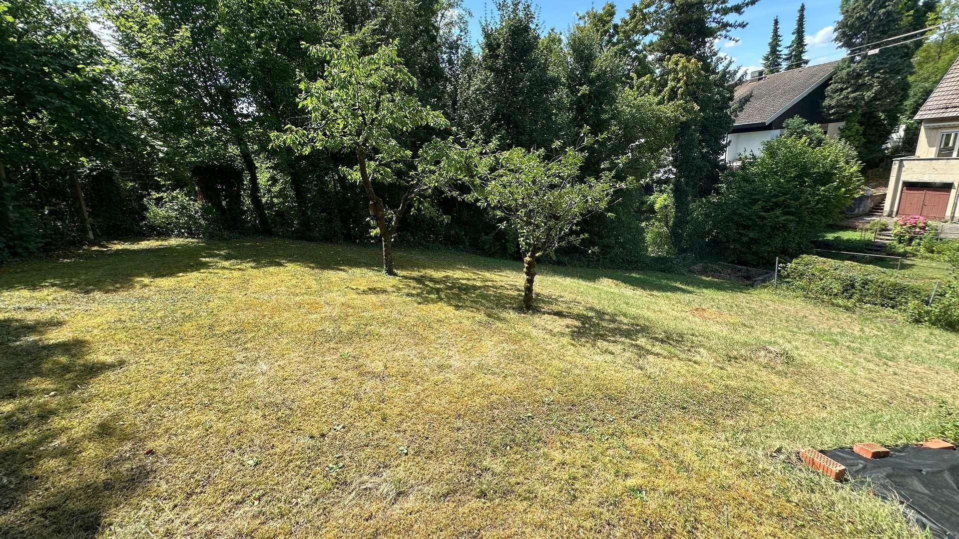 Garten