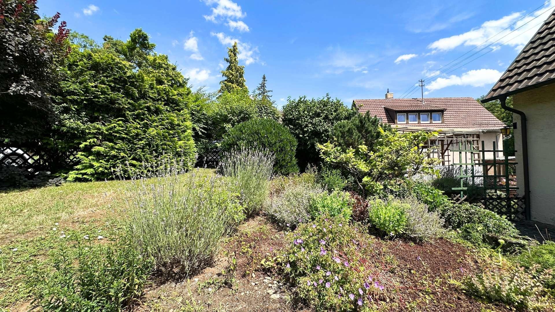 Garten